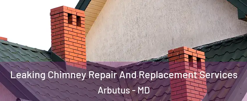  Leaking Chimney Repair And Replacement Services Arbutus - MD