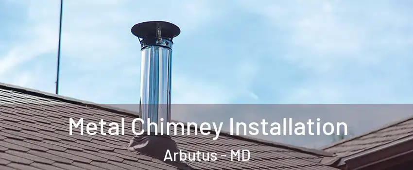  Metal Chimney Installation Arbutus - MD