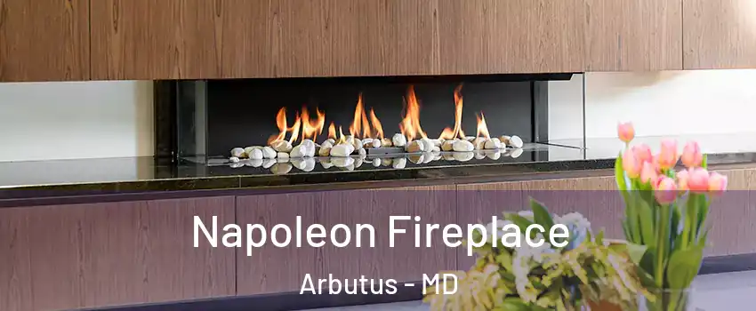  Napoleon Fireplace Arbutus - MD