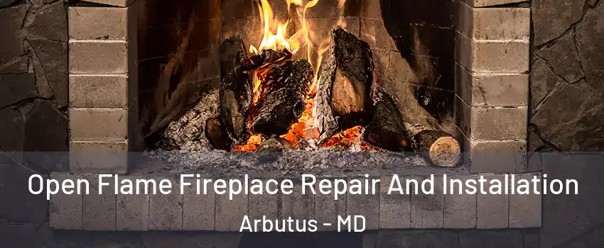 Open Flame Fireplace Repair And Installation Arbutus - MD