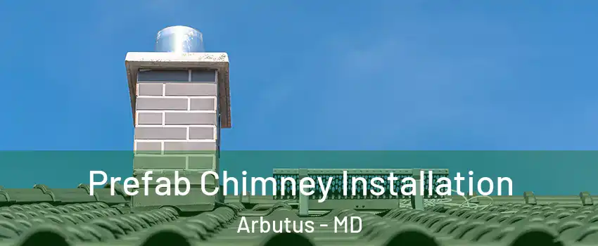 Prefab Chimney Installation Arbutus - MD