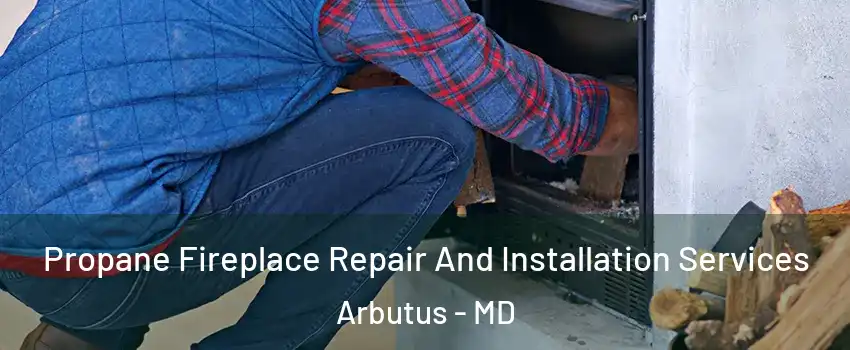  Propane Fireplace Repair And Installation Services Arbutus - MD