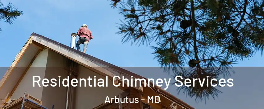  Residential Chimney Services Arbutus - MD