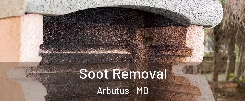  Soot Removal Arbutus - MD