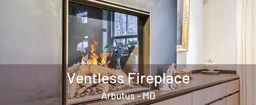  Ventless Fireplace Arbutus - MD