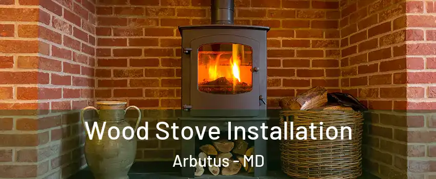  Wood Stove Installation Arbutus - MD
